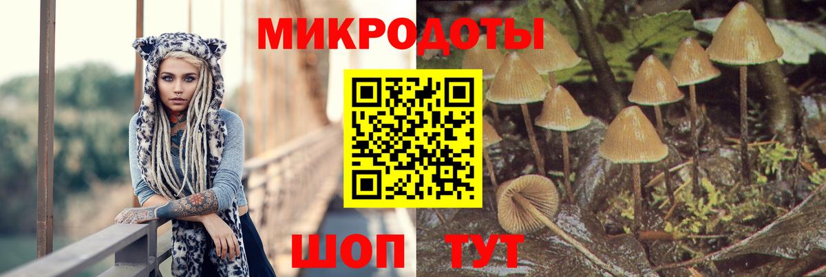 Галлюциногенные грибы Cubensis Острогожск